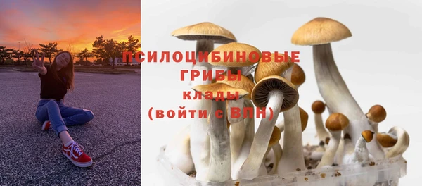 индика Абаза