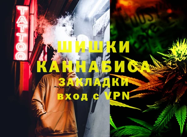 индика Абаза