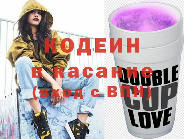 индика Абаза