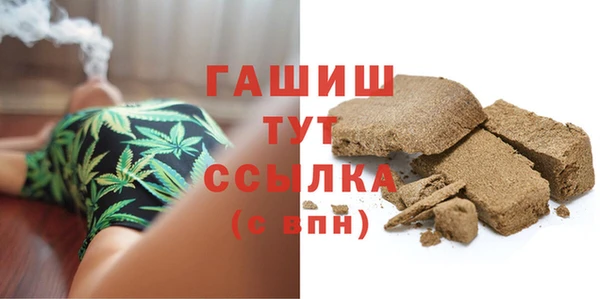 индика Абаза