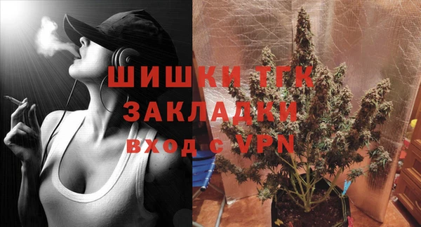 индика Абаза