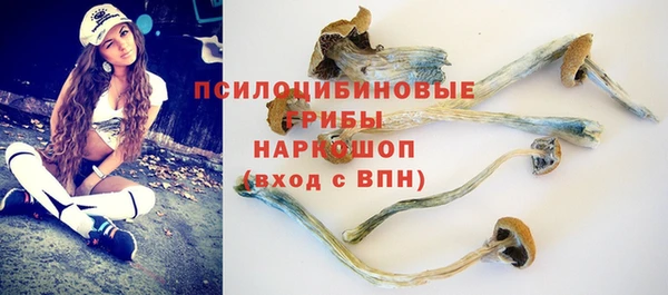 индика Абаза