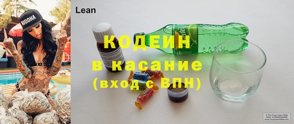 индика Абаза