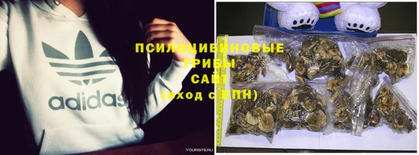 индика Абаза